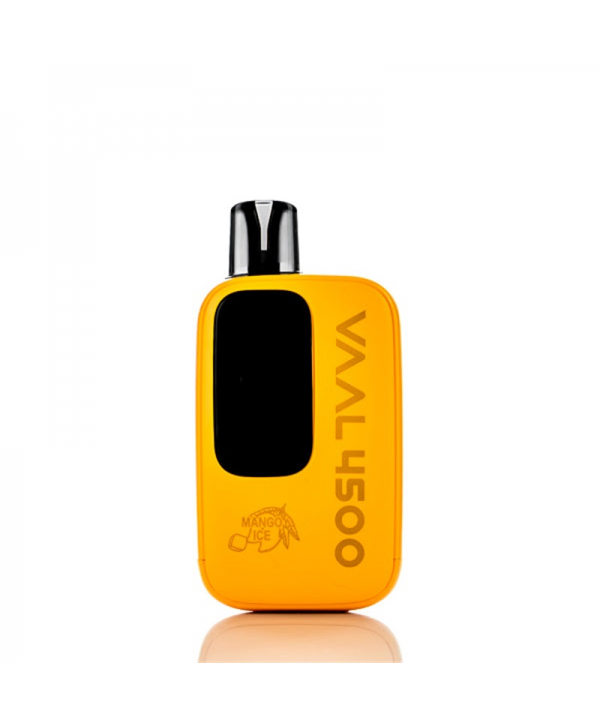 VAAL 4500M Rechargeable Disposable Kit 4500 Puffs 10ml