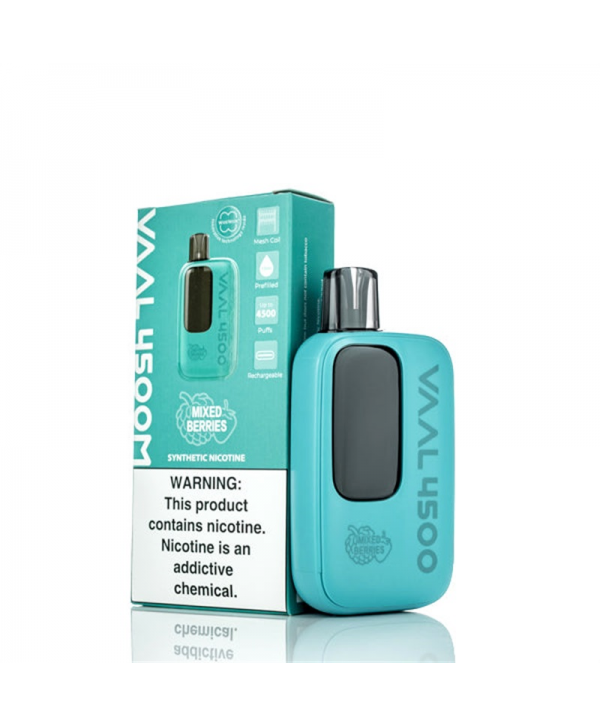 VAAL 4500M Rechargeable Disposable Kit 4500 Puffs 10ml