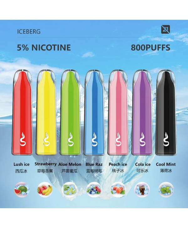 Smoker Chat Disposable Vape Device 800 Puffs 400mAh<span class=